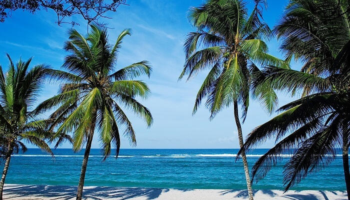 Read more about the article 10 Most Beautiful Beaches In Kenya