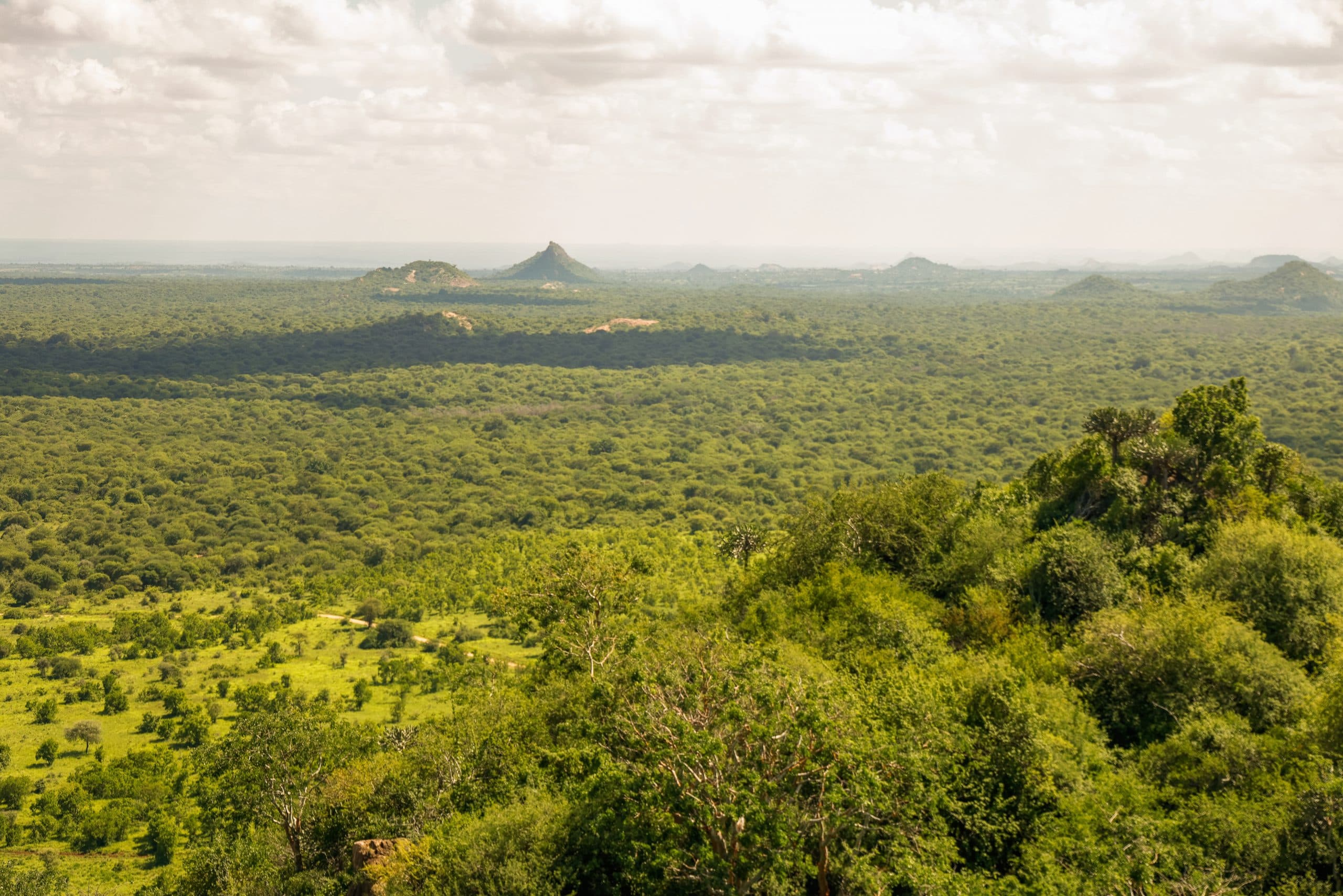 3 Days in Meru National Park — Kenya's Hidden Gem