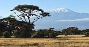 Read more about the article Amboseli National Park