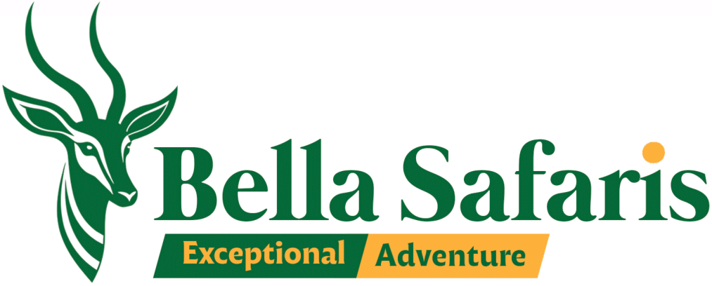 Bellasafaris